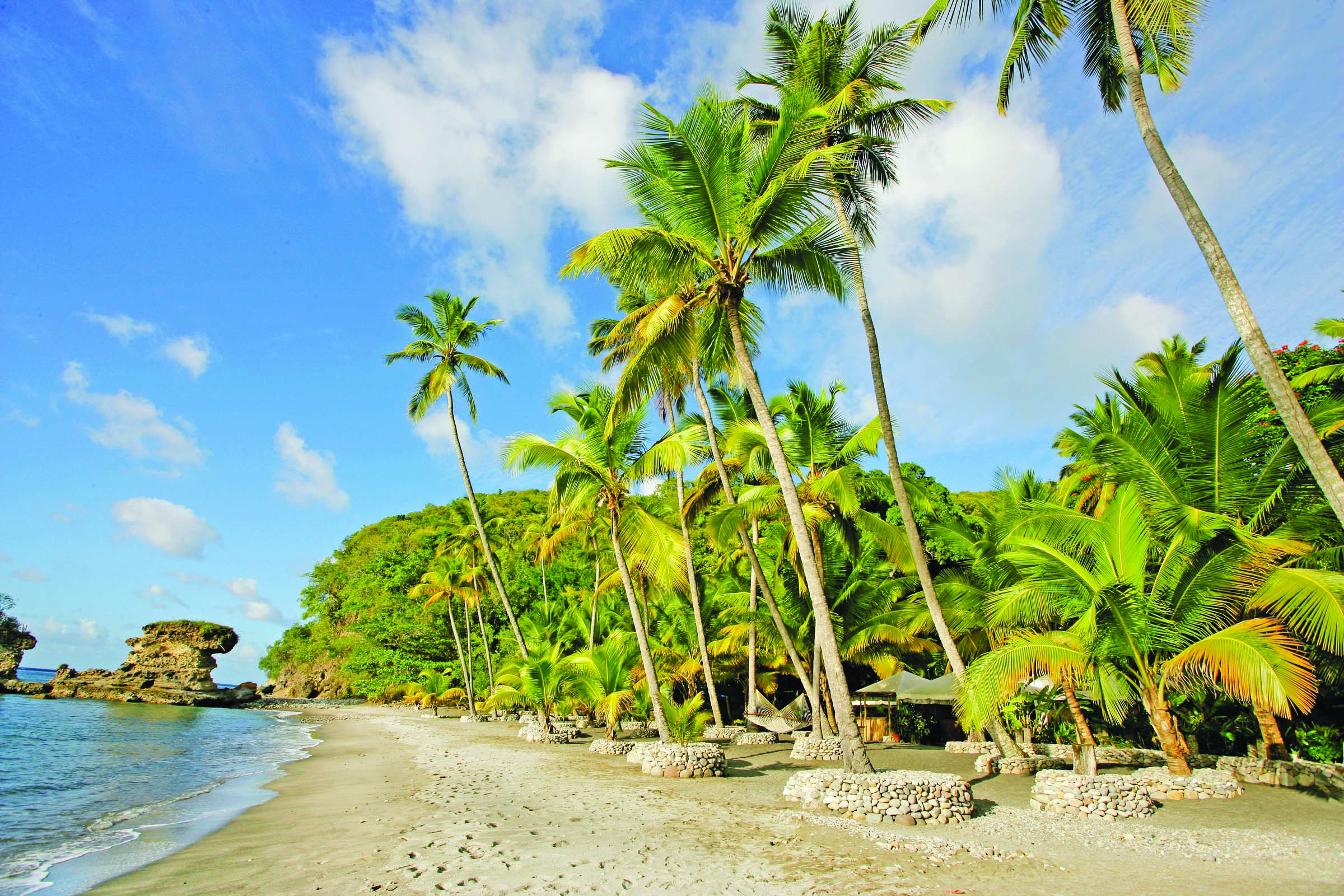 Anse Chastanet St Lucia beach and palm trees