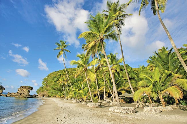 Anse Chastanet St Lucia beach and palm trees