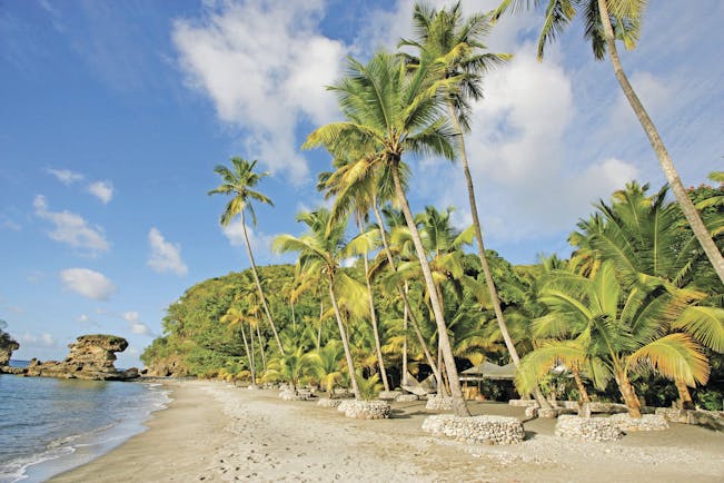 Anse Chastanet St Lucia beach and palm trees