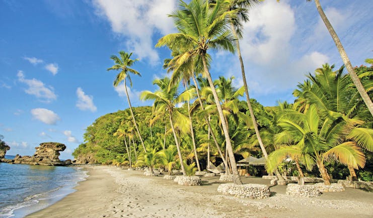 Anse Chastanet St Lucia beach and palm trees