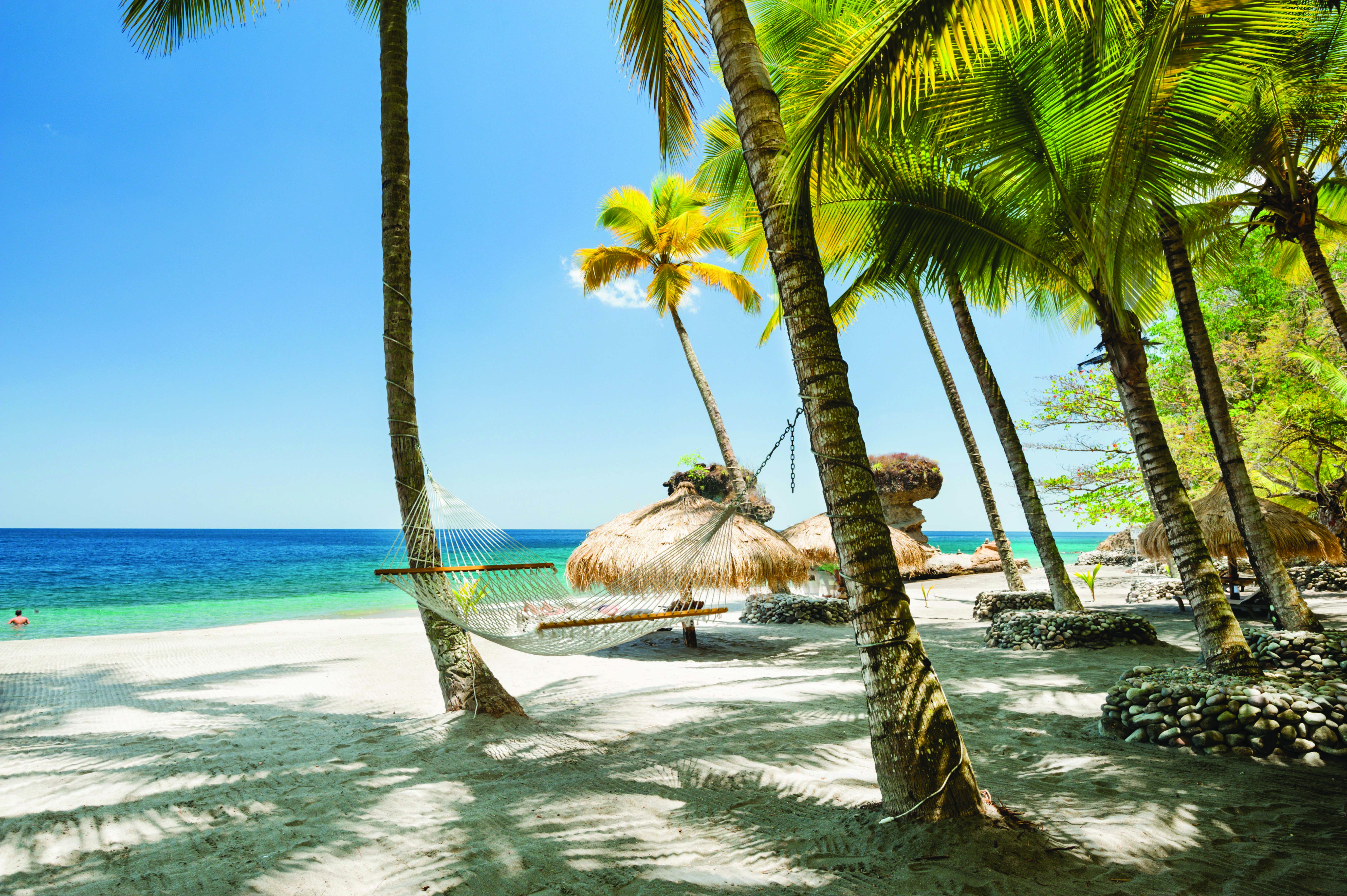Anse Chastanet St Lucia palm trees on the beach hammock white sand