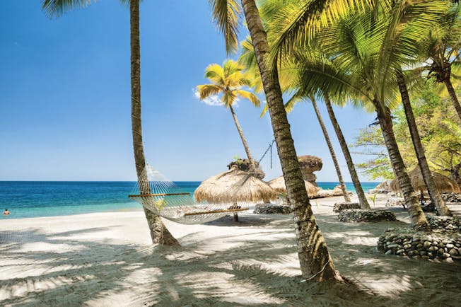Anse Chastanet St Lucia palm trees on the beach hammock white sand