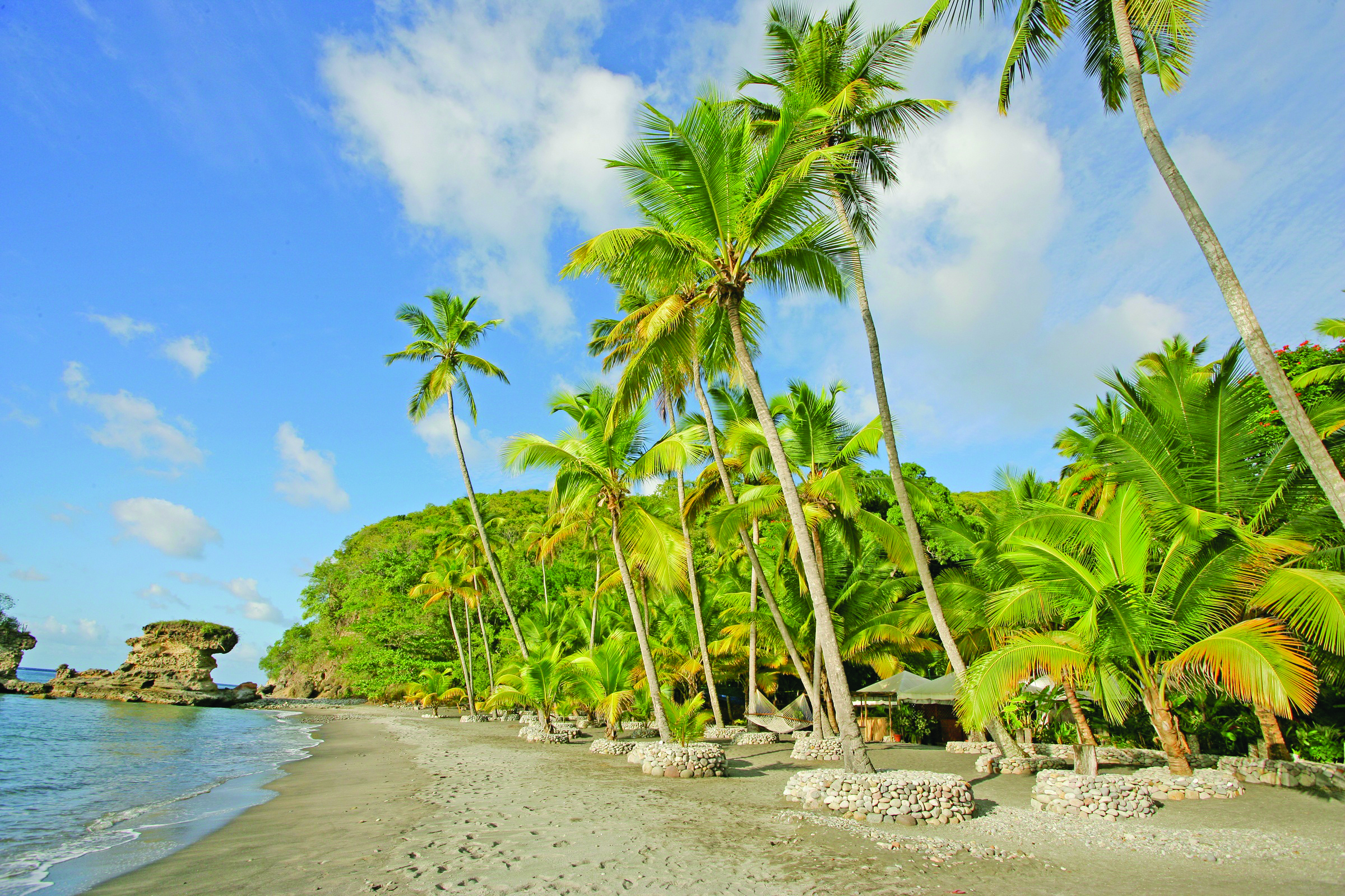 Jade Mountain St Lucia beach and palm trees