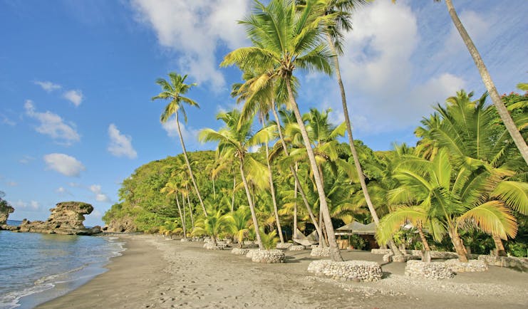 Jade Mountain St Lucia beach and palm trees