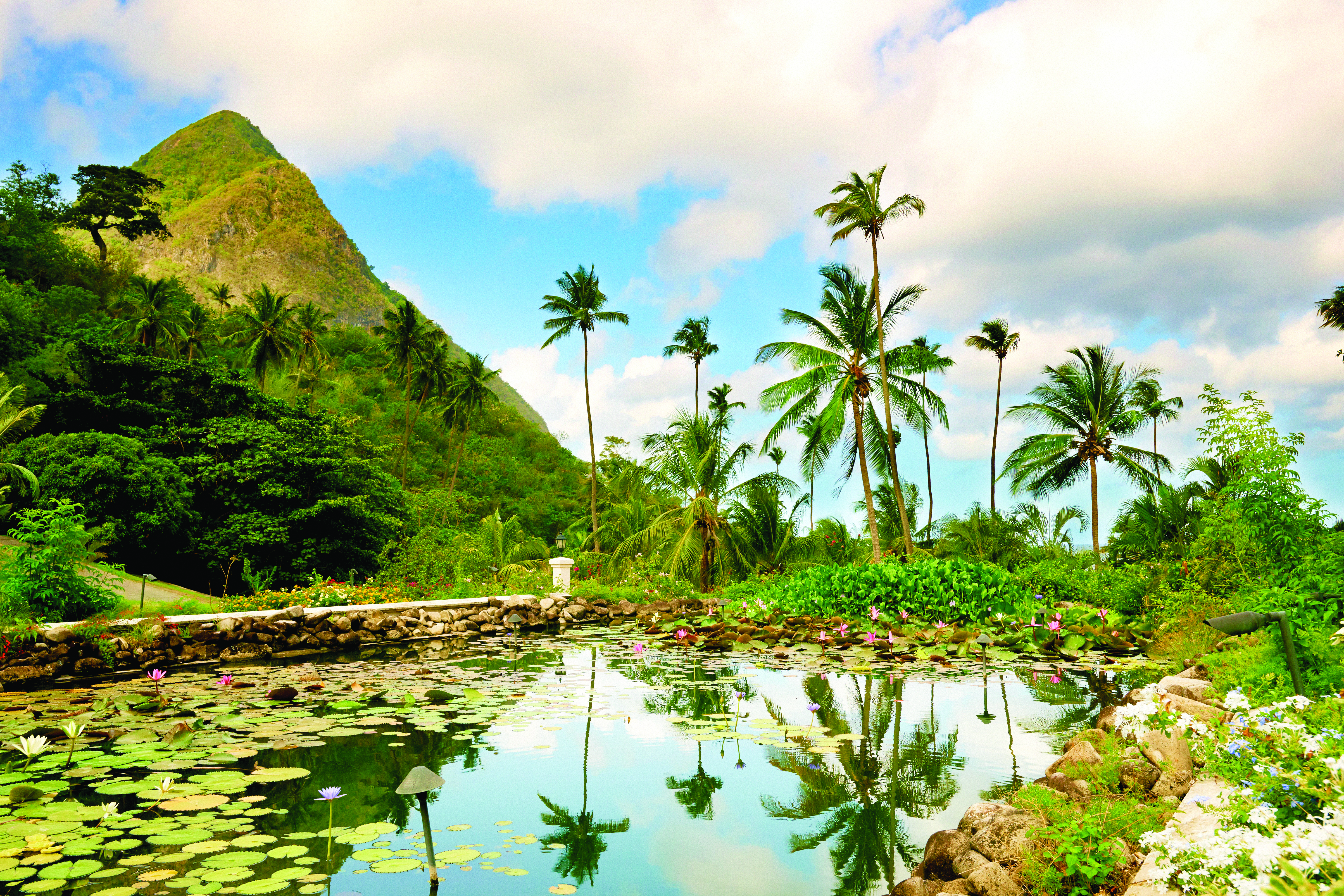 Sugarbeach St Lucia pond palm trees and greenery