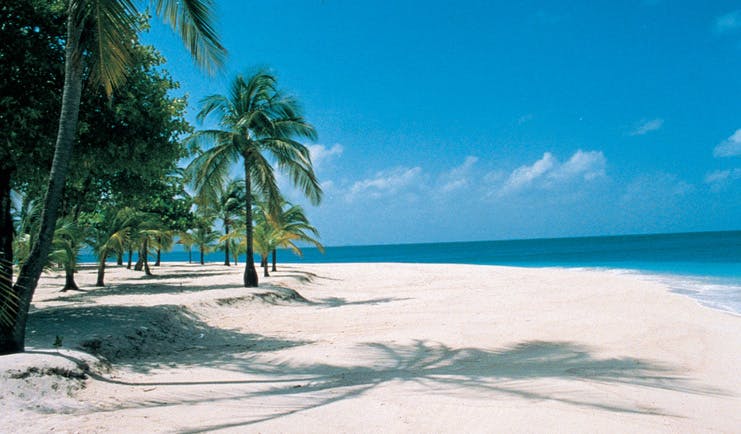 Palm Island St Vincent and the Grenadines sandy beach palm trees