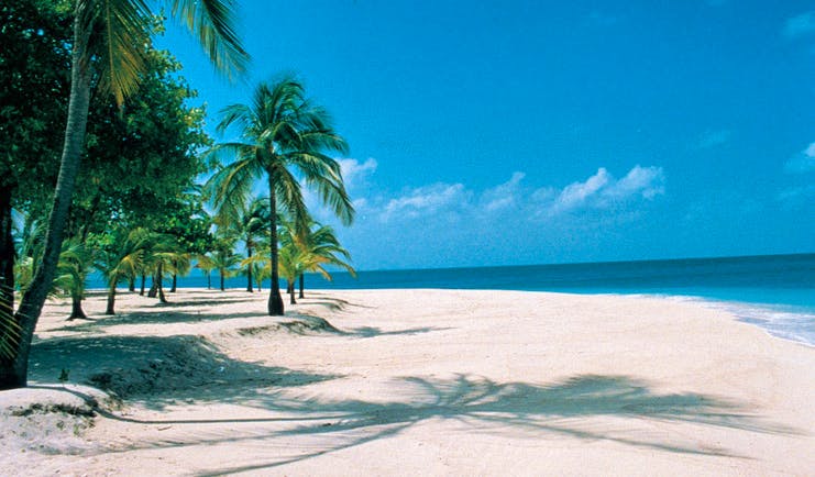 Palm Island St Vincent and the Grenadines sandy beach palm trees