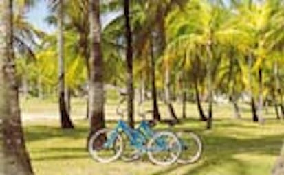 Palm Island St Vincent and the Grenadines bicycles in the garden