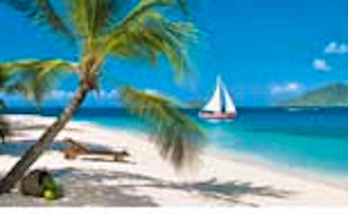 St Vincent and the Grenadines beach and palm tree boat on water