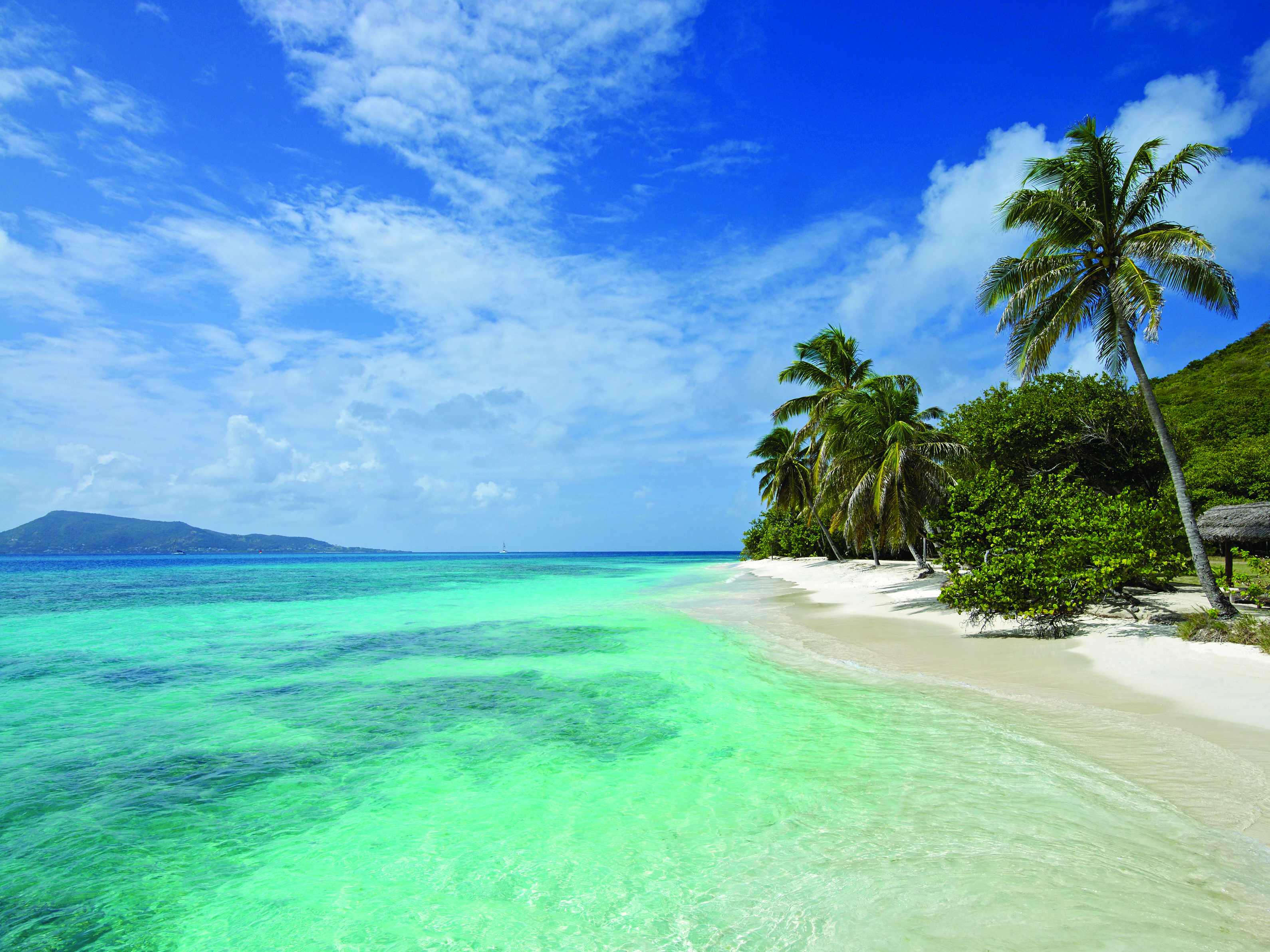 Petit St Vincent sea clear blue ocean white sandy beach palm trees