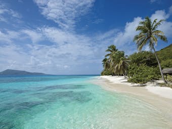 Petit St Vincent sea clear blue ocean white sandy beach palm trees