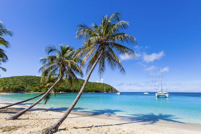 Beach on the Grenadines, white sand, blue seas, palm tree