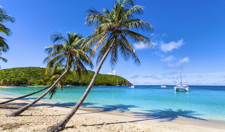 Beach on the Grenadines, white sand, blue seas, palm tree