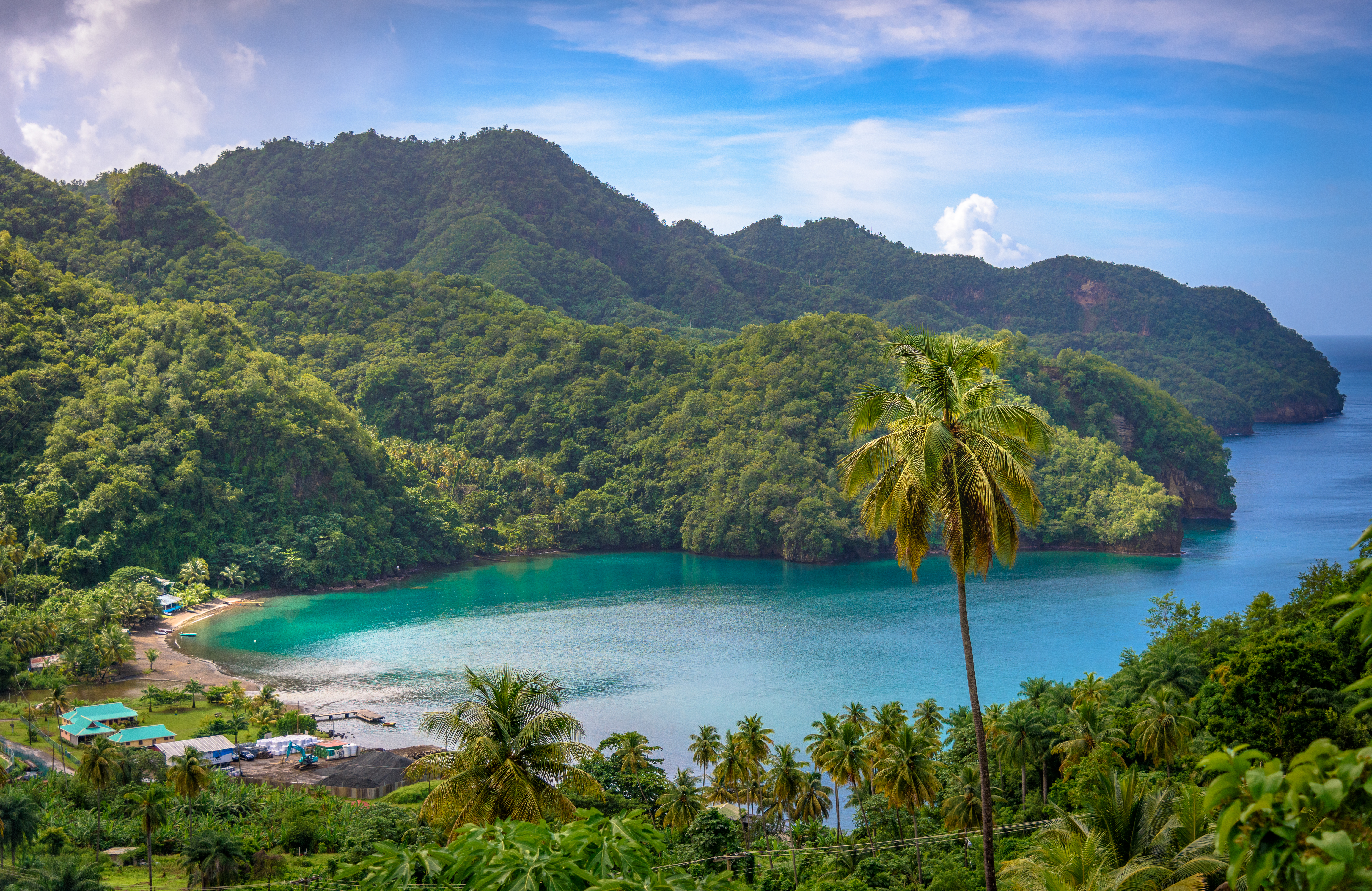 A bay in Saint Vincent and the Grenadines, palm trees, rainforest, ocean