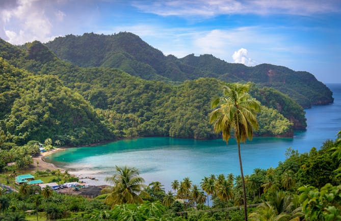 A bay in Saint Vincent and the Grenadines, palm trees, rainforest, ocean