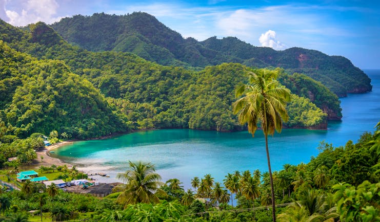A bay in Saint Vincent and the Grenadines, palm trees, rainforest, ocean