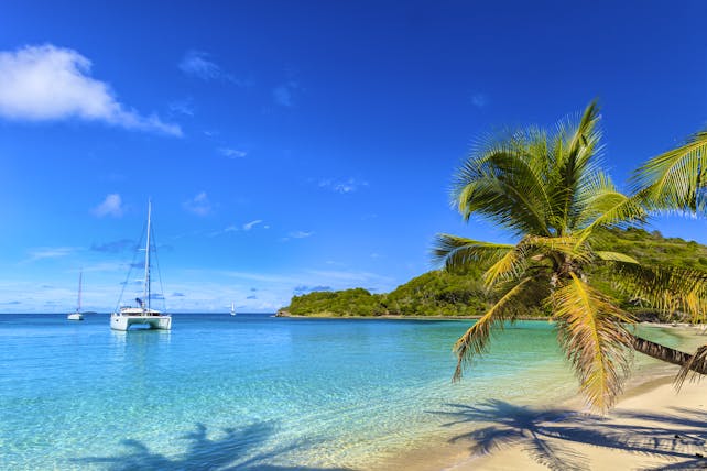 Salt Whistle Bay beach in the Grenadines, white sand, palm tree, boat on the water