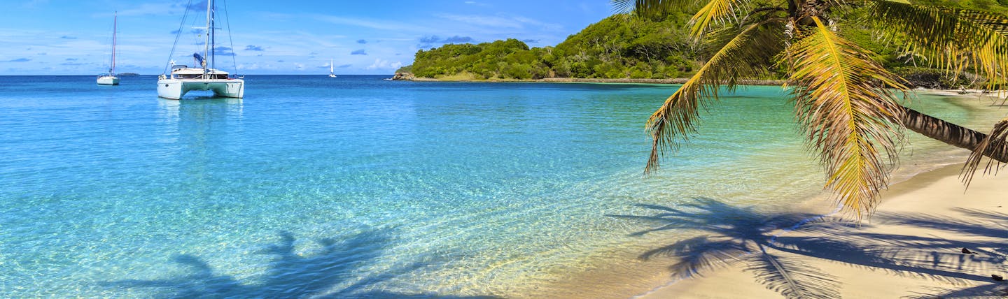 Salt Whistle Bay beach in the Grenadines, white sand, palm tree, boat on the water
