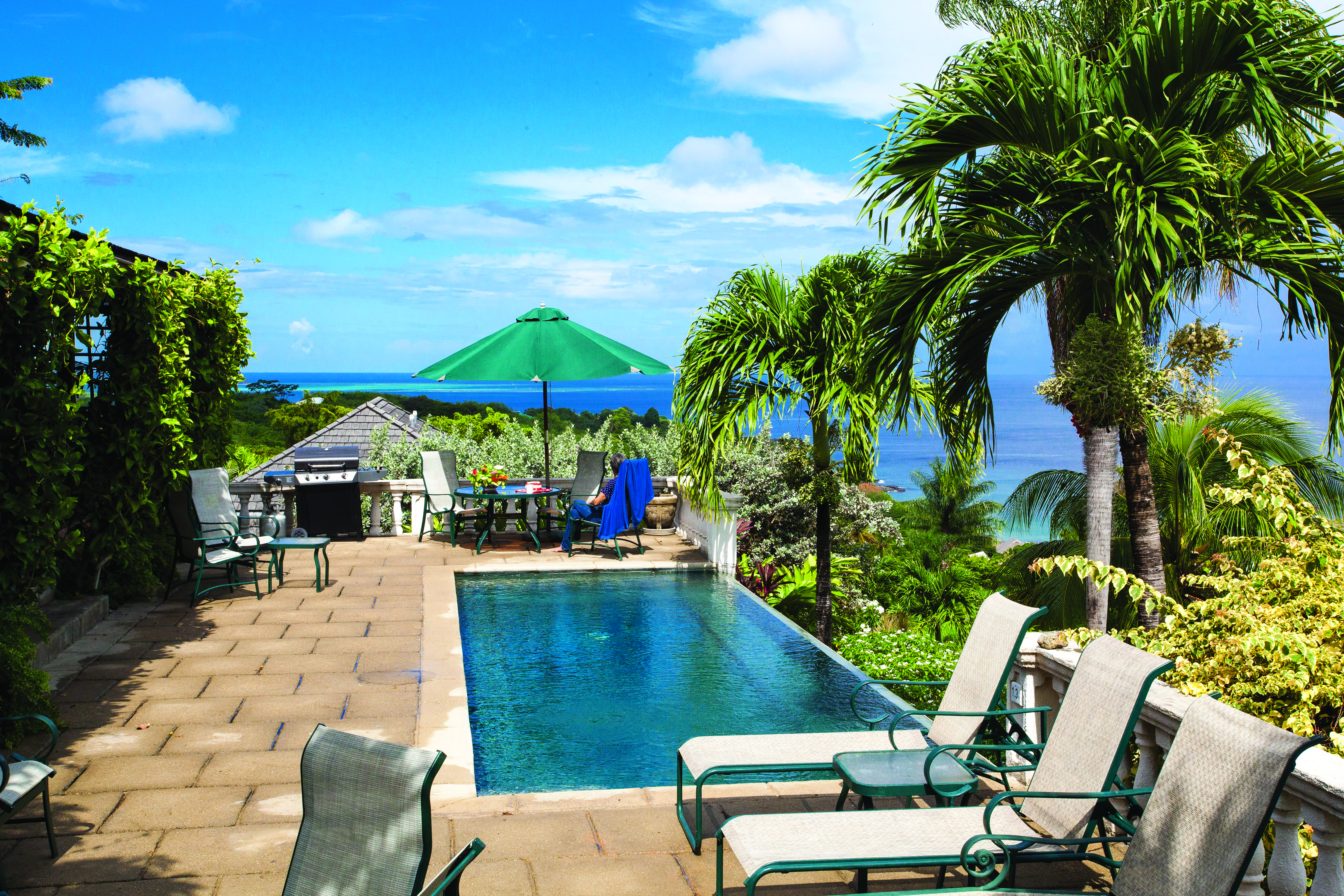 The Villas at Stonehaven Tobago villa infinity pool sun loungers ocean views palm trees