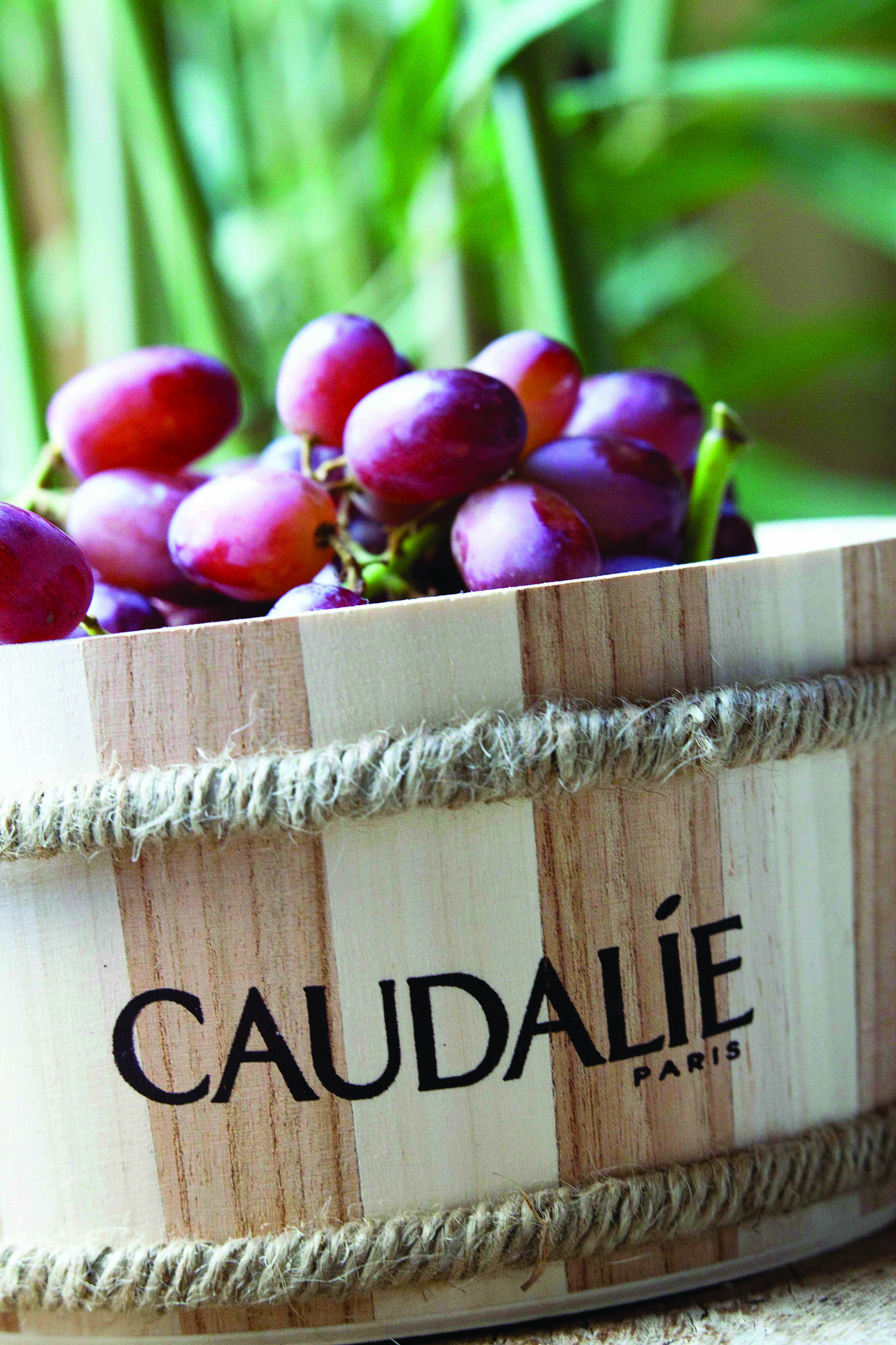 Red grapes in wooden tub