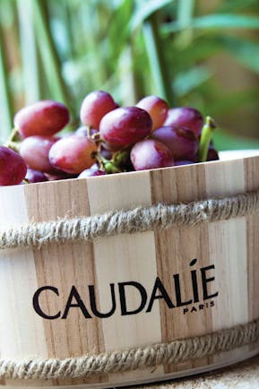 Red grapes in wooden tub