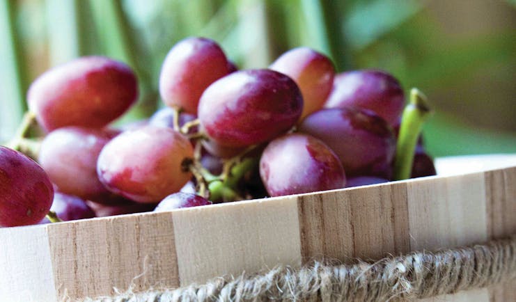 Red grapes in wooden tub