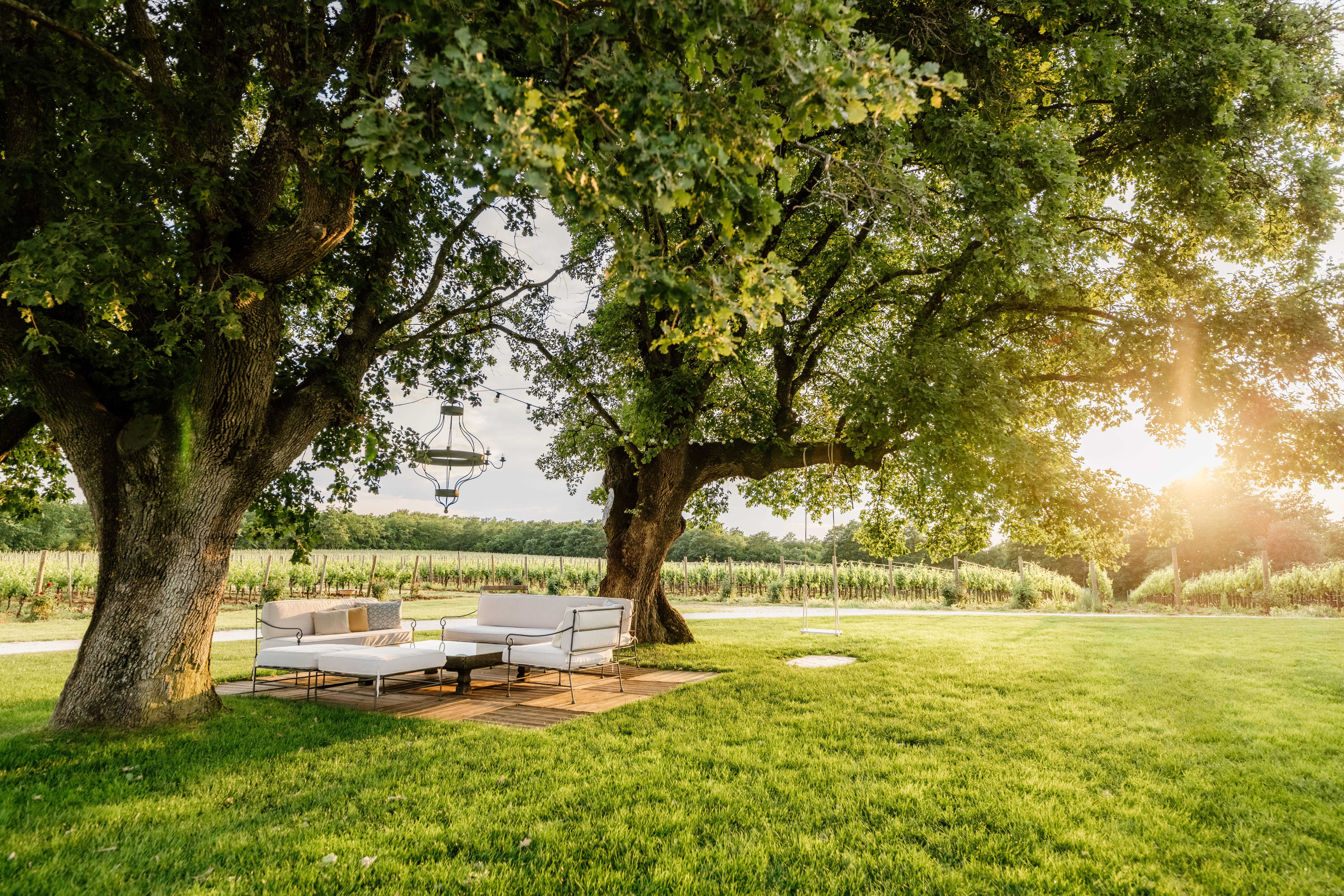 Meneghetti Wine Hotel estate grounds, with grass, ancient trees, pathways, and quiet places to sit