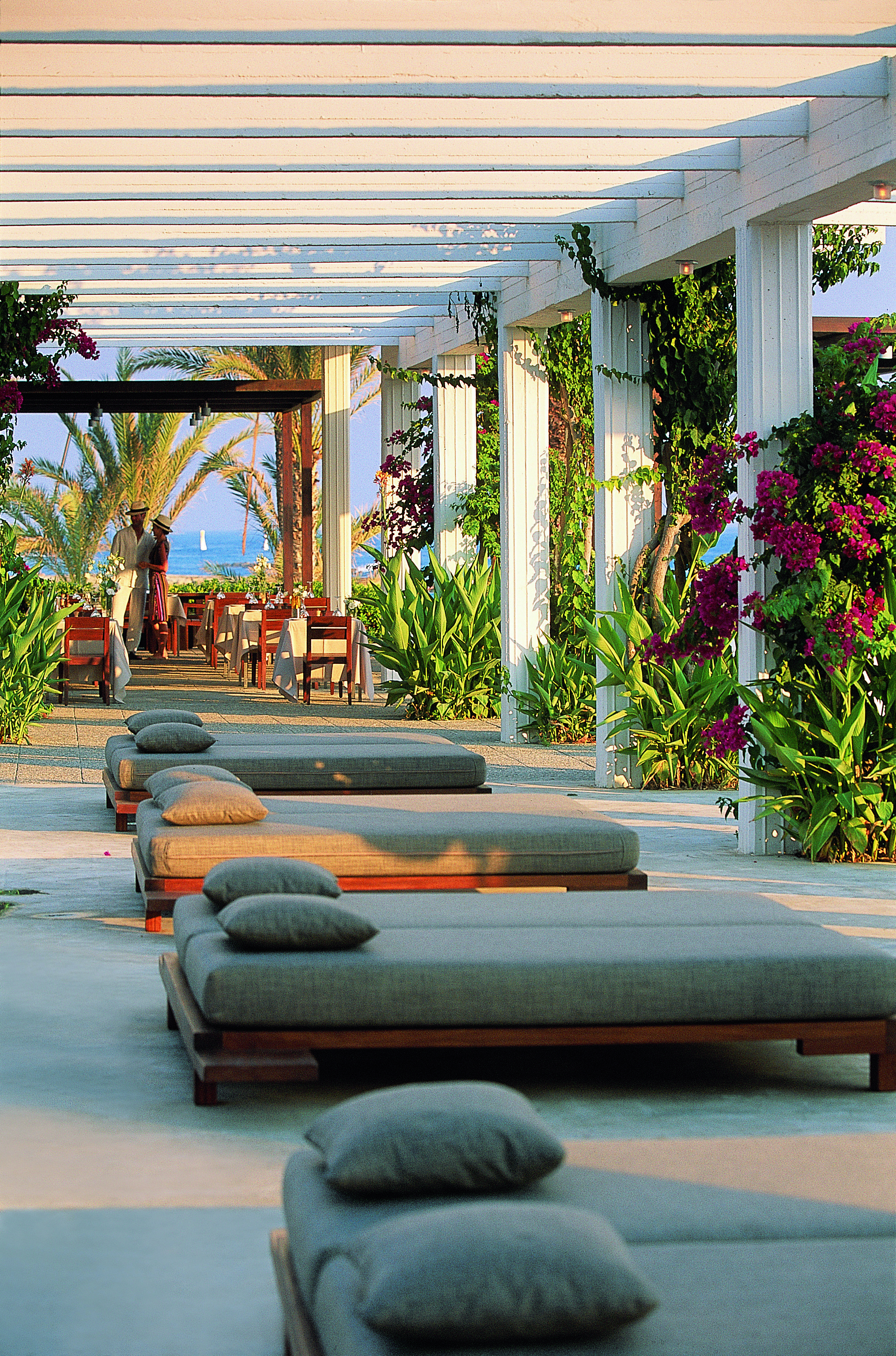 Sunbeds laid out outside underneath a veranda with plants growing up the sides and dining tables in the distance