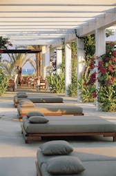 Sunbeds laid out outside underneath a veranda with plants growing up the sides and dining tables in the distance