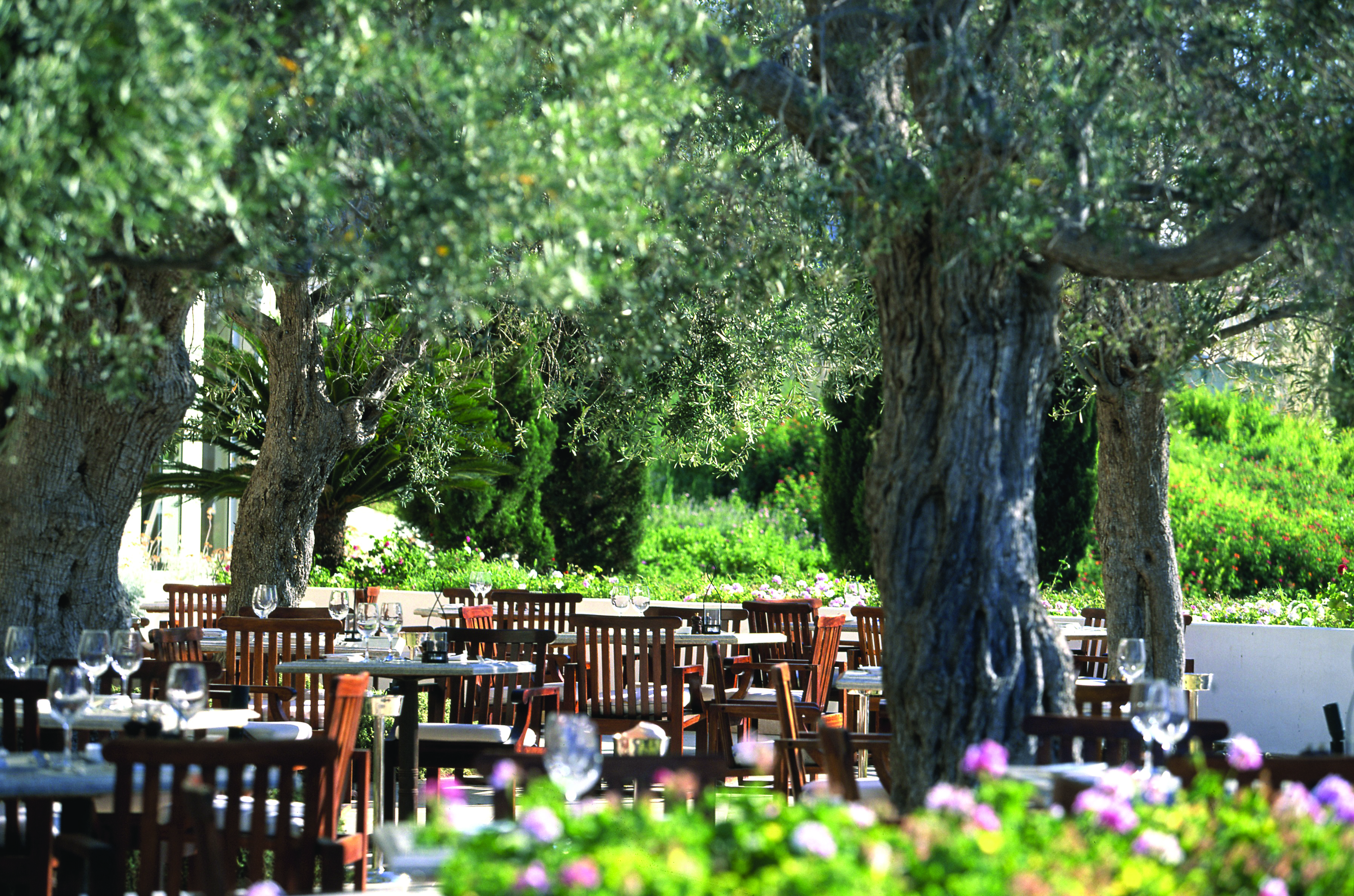 Anassa Hotel outdoor dining area with wooden chairs and tables set up beneath trees