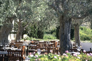 Anassa Hotel outdoor dining area with wooden chairs and tables set up beneath trees