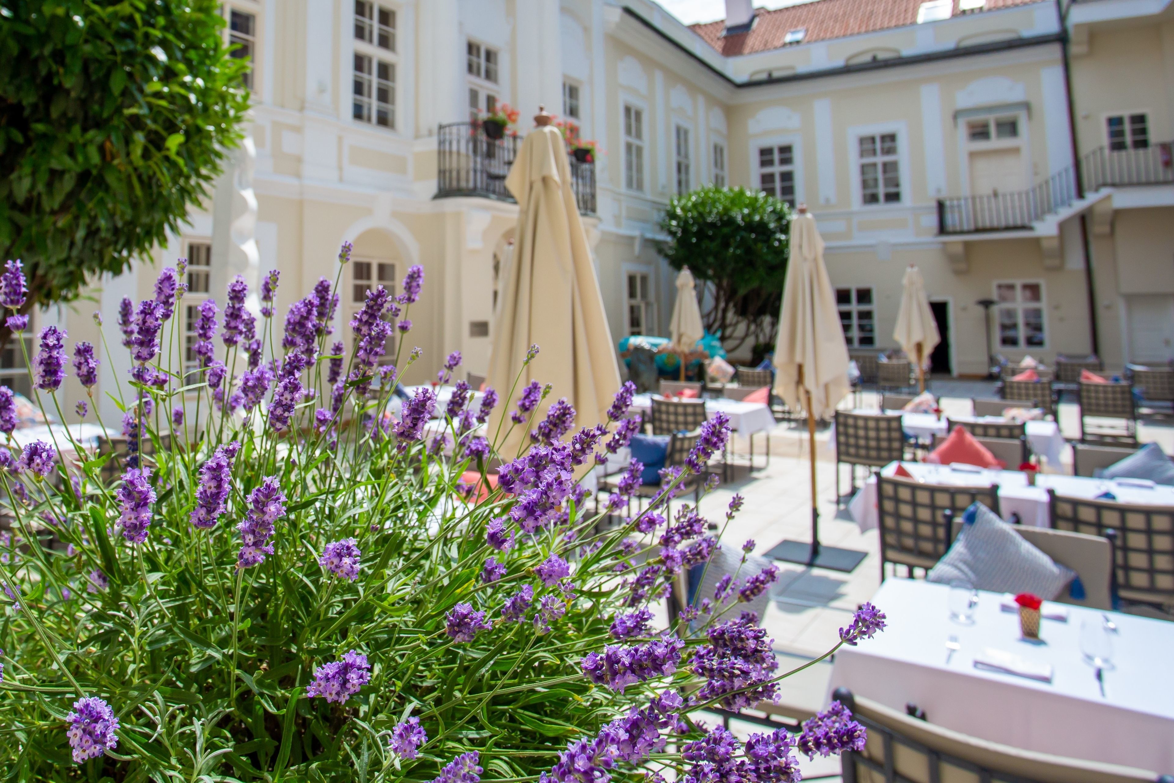 Mozart hotel in Prague