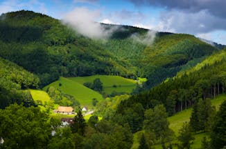 Green fields and hills with low cloud of the Black Forest