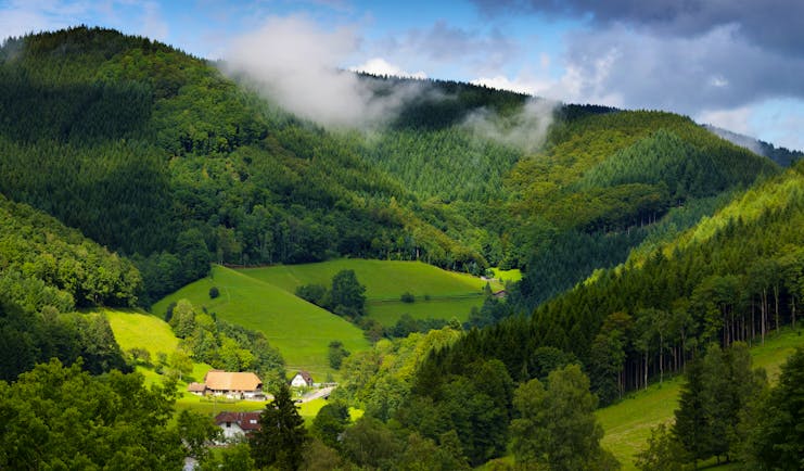 Green fields and hills with low cloud of the Black Forest