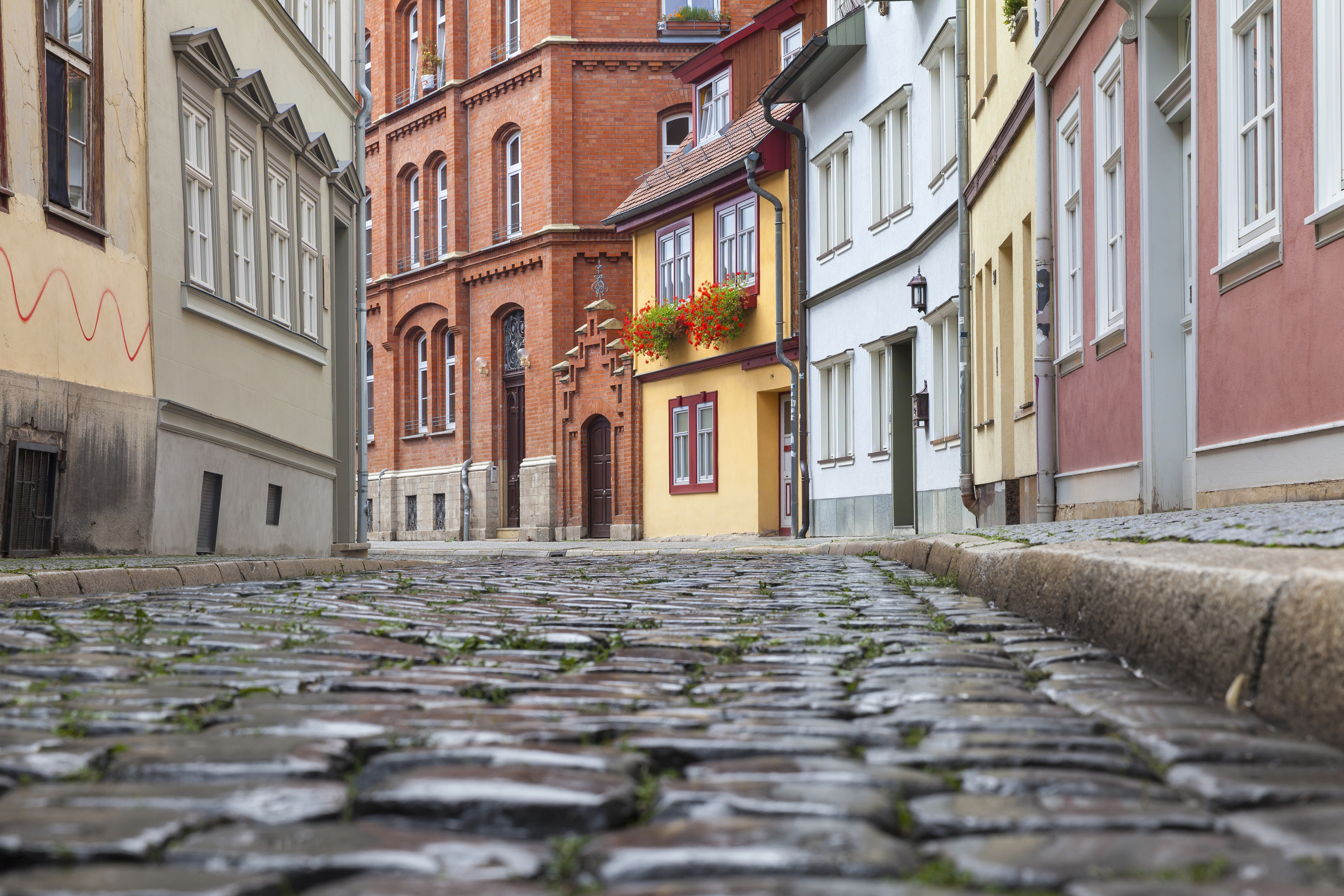 Cobbled street and old pink houses in Erfurt