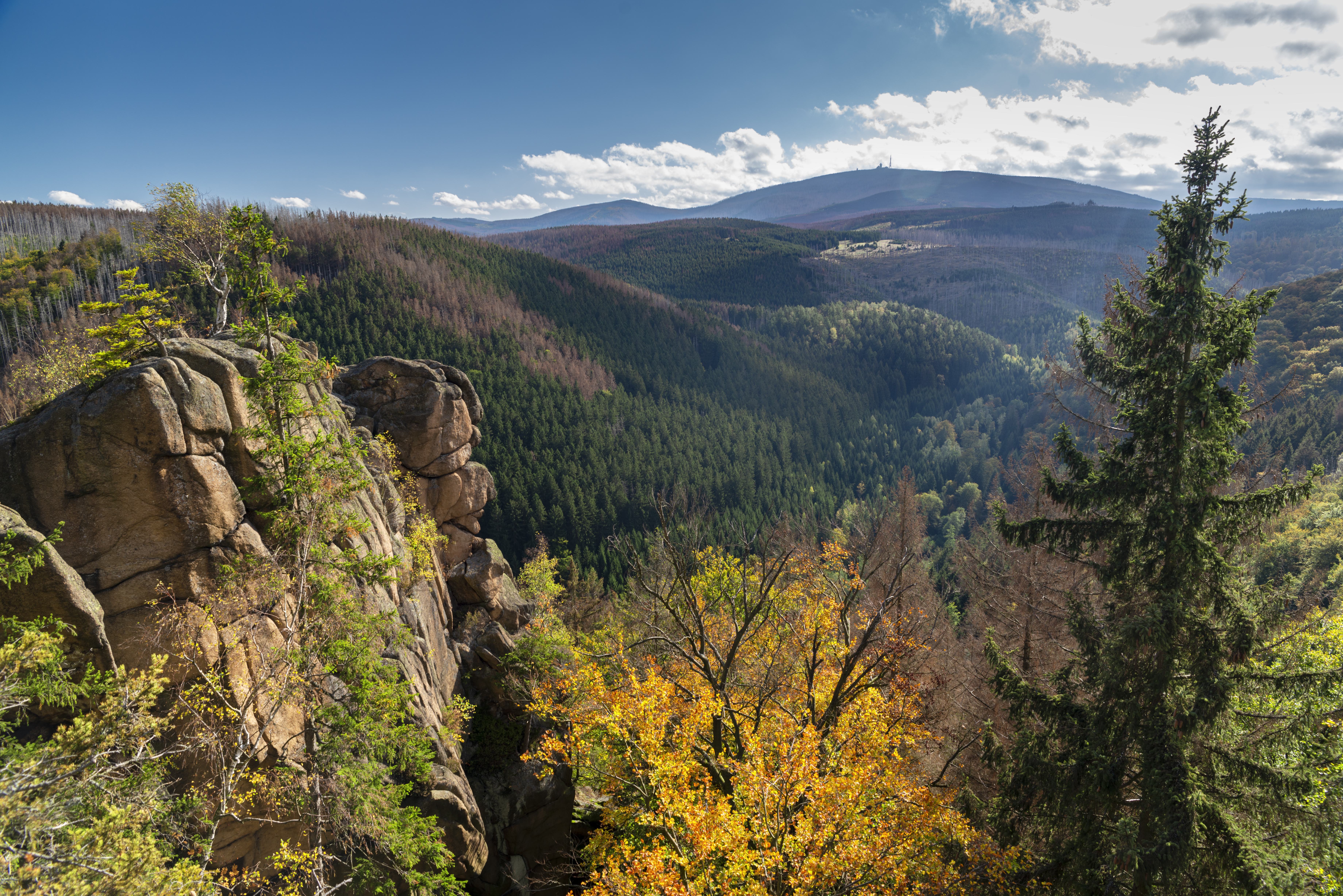Rocky cliff and pine forested hills in the Harz national park
