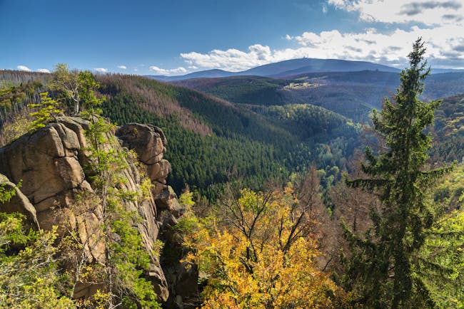 Rocky cliff and pine forested hills in the Harz national park