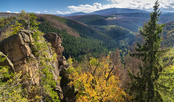 Rocky cliff and pine forested hills in the Harz national park