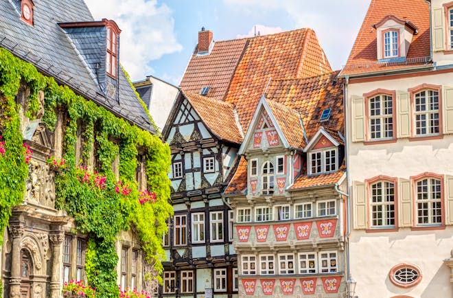 Timber houses some covered in greenery in Quedlinburg old town