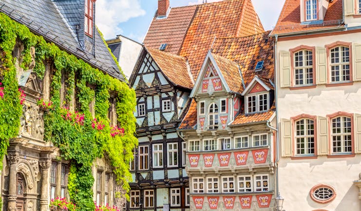 Timber houses some covered in greenery in Quedlinburg old town