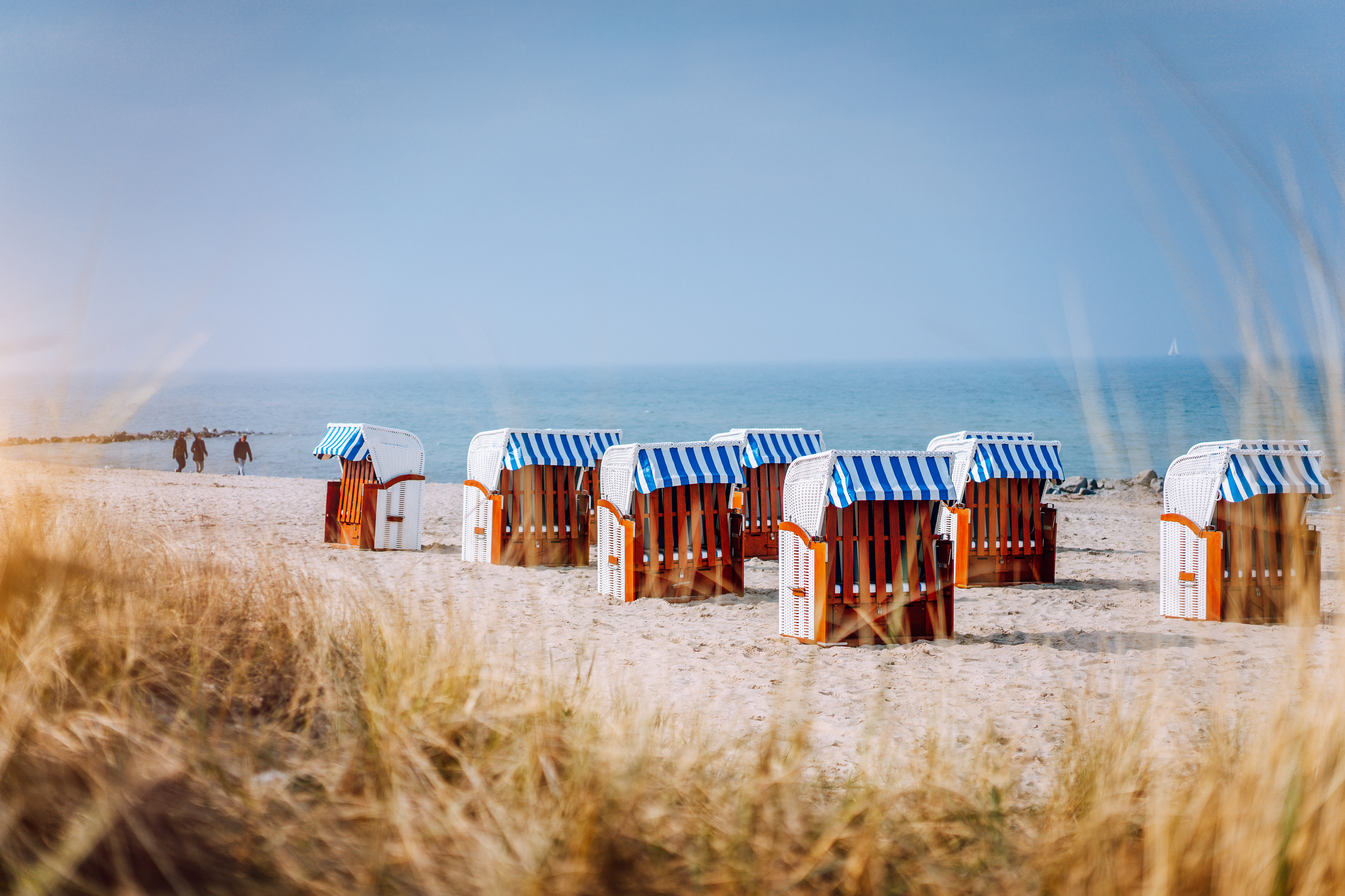 Blue striped roofed chairs on sandy beach by dunes at Travemunde