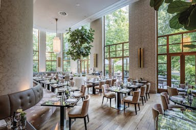 Restaurant dining area at Sophias Restaurant in The Charles Hotel with high window pannelled walls and leather dining chairs set up 