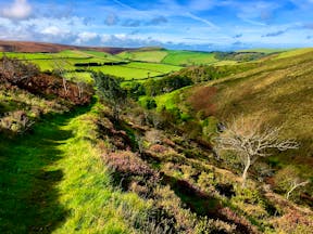Deddy Combe Exmoor fields and green track