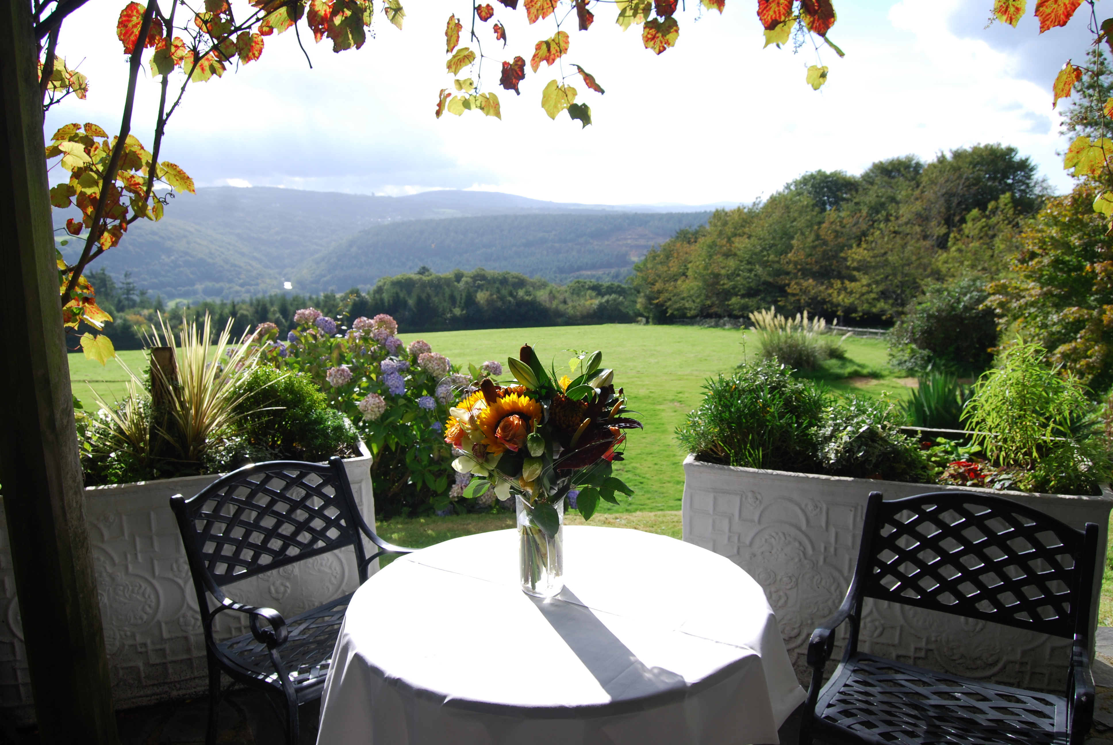 Horn of Plenty Devon autumn in the garden