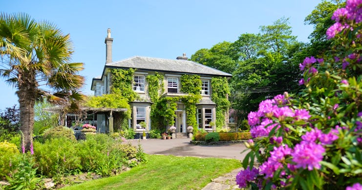 Horn of Plenty Devon exterior with pink flowers and palm