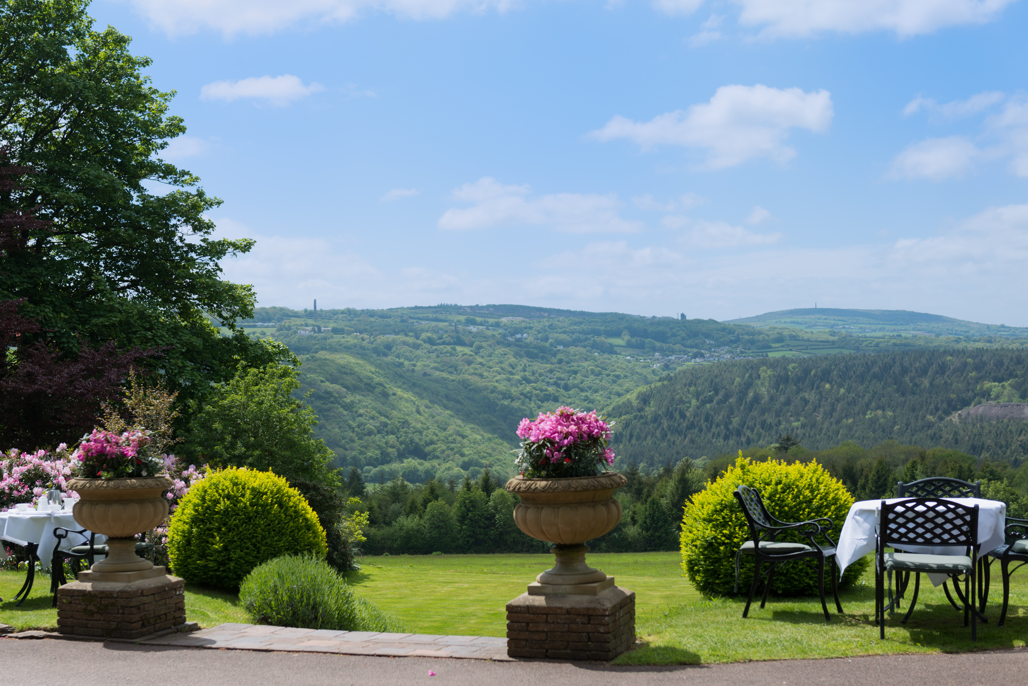Horn of Plenty Devon garden view