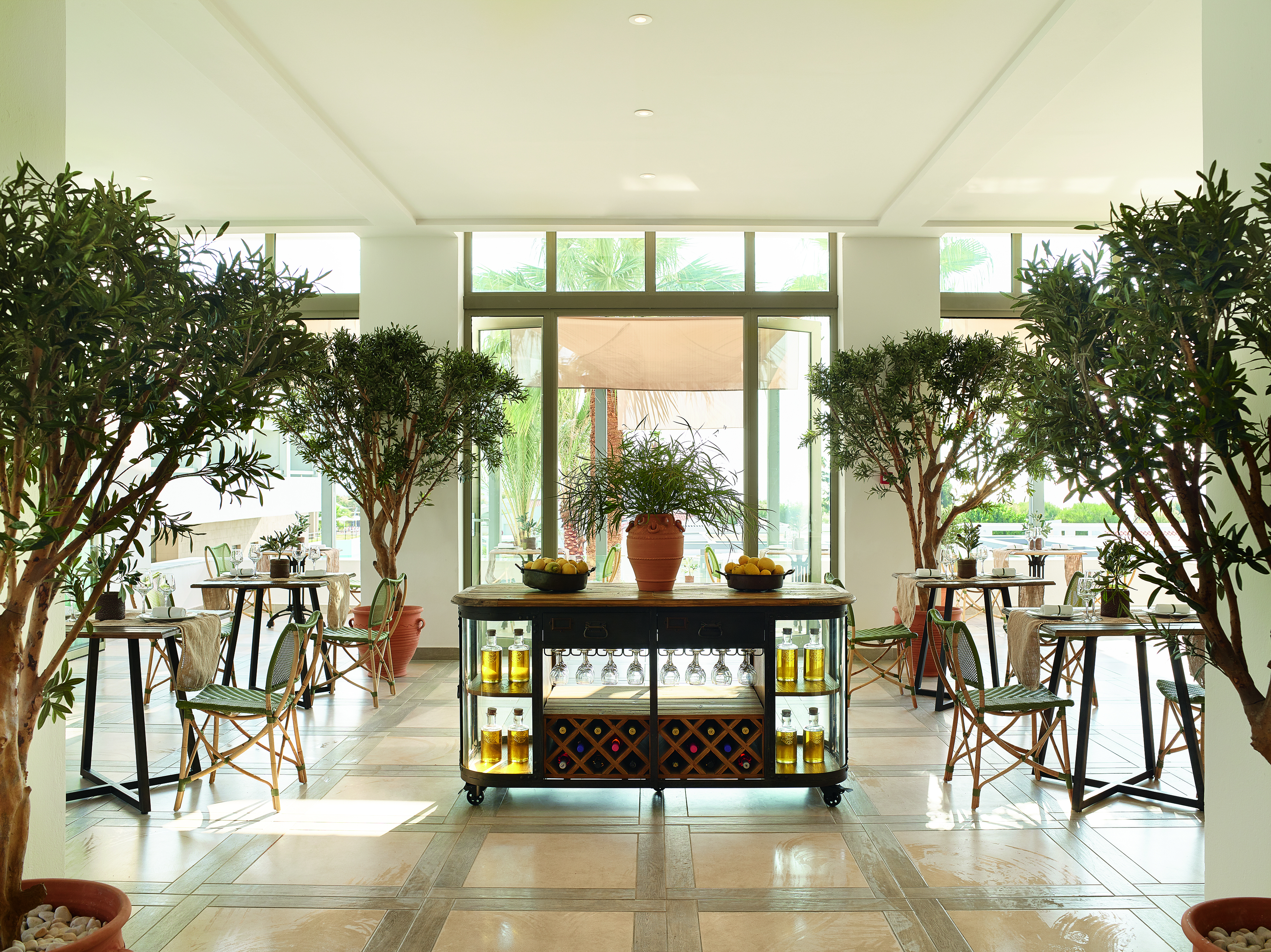 Olive trees in pots inside at entrance to restaruant