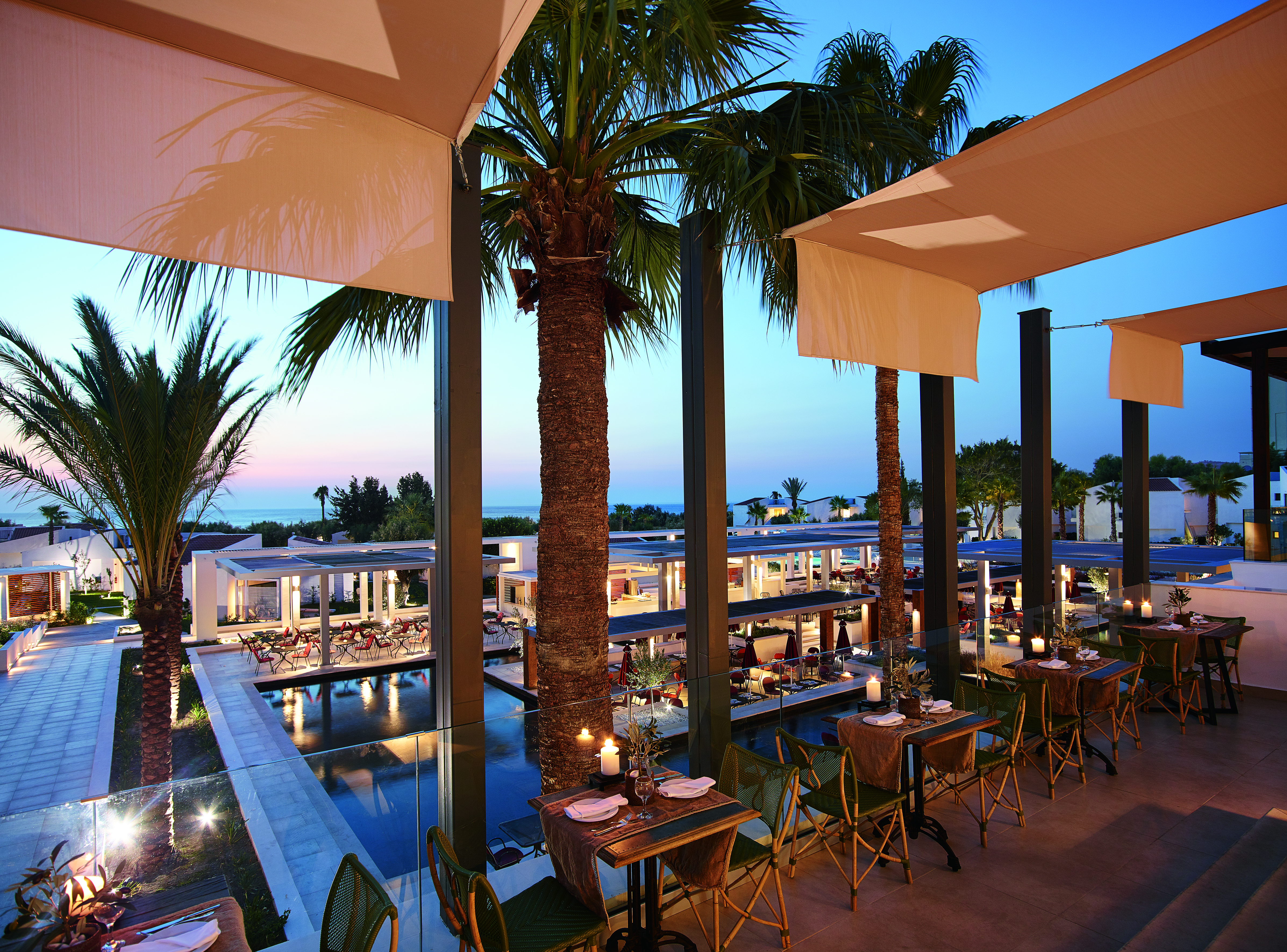 Evening shot of restaurant with palms overlooking the pool