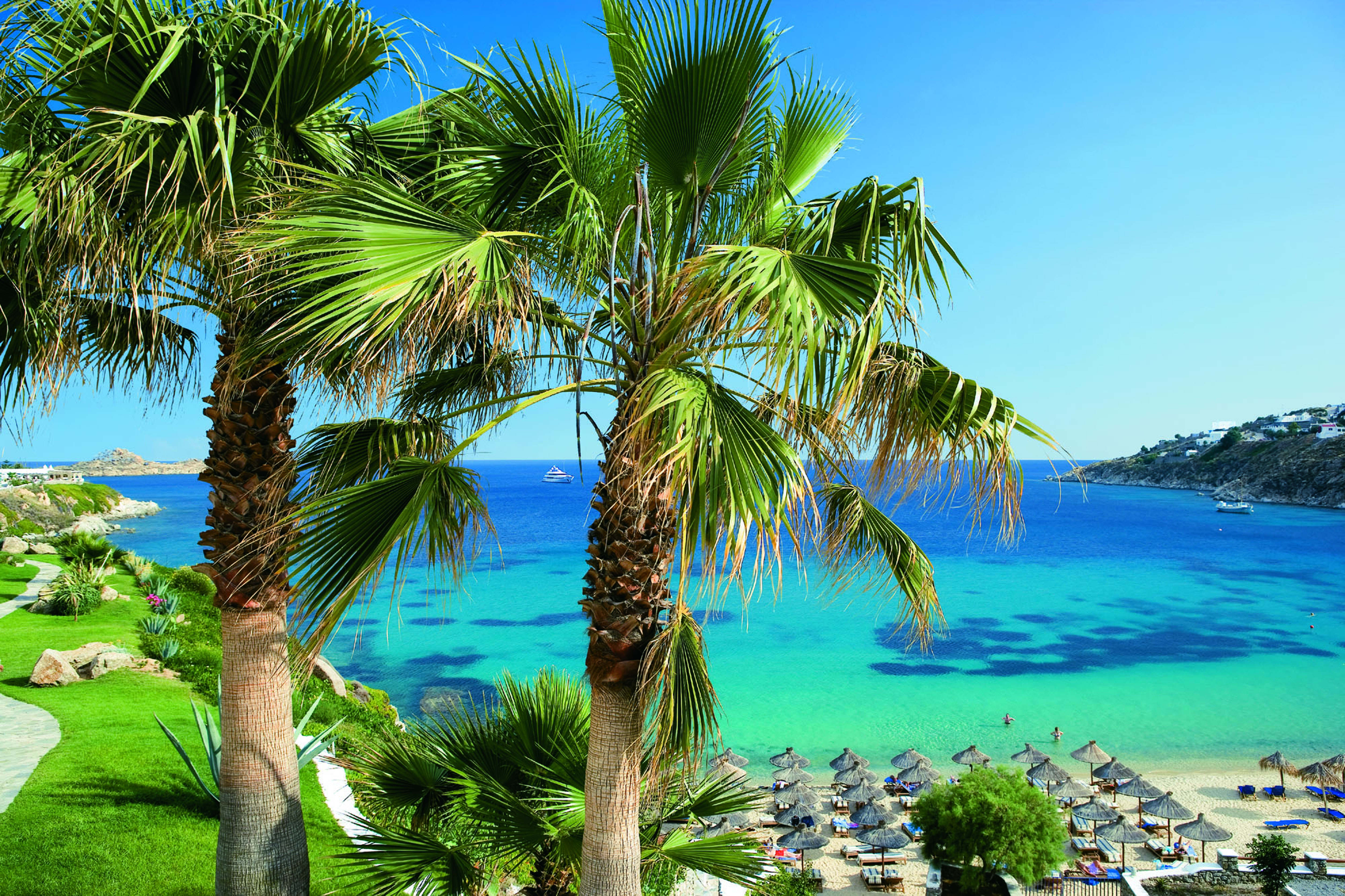 Mykonos Blu Greece Grecotel beach lawned area with palm tree overlooking beach with sun loungers and umbrellas