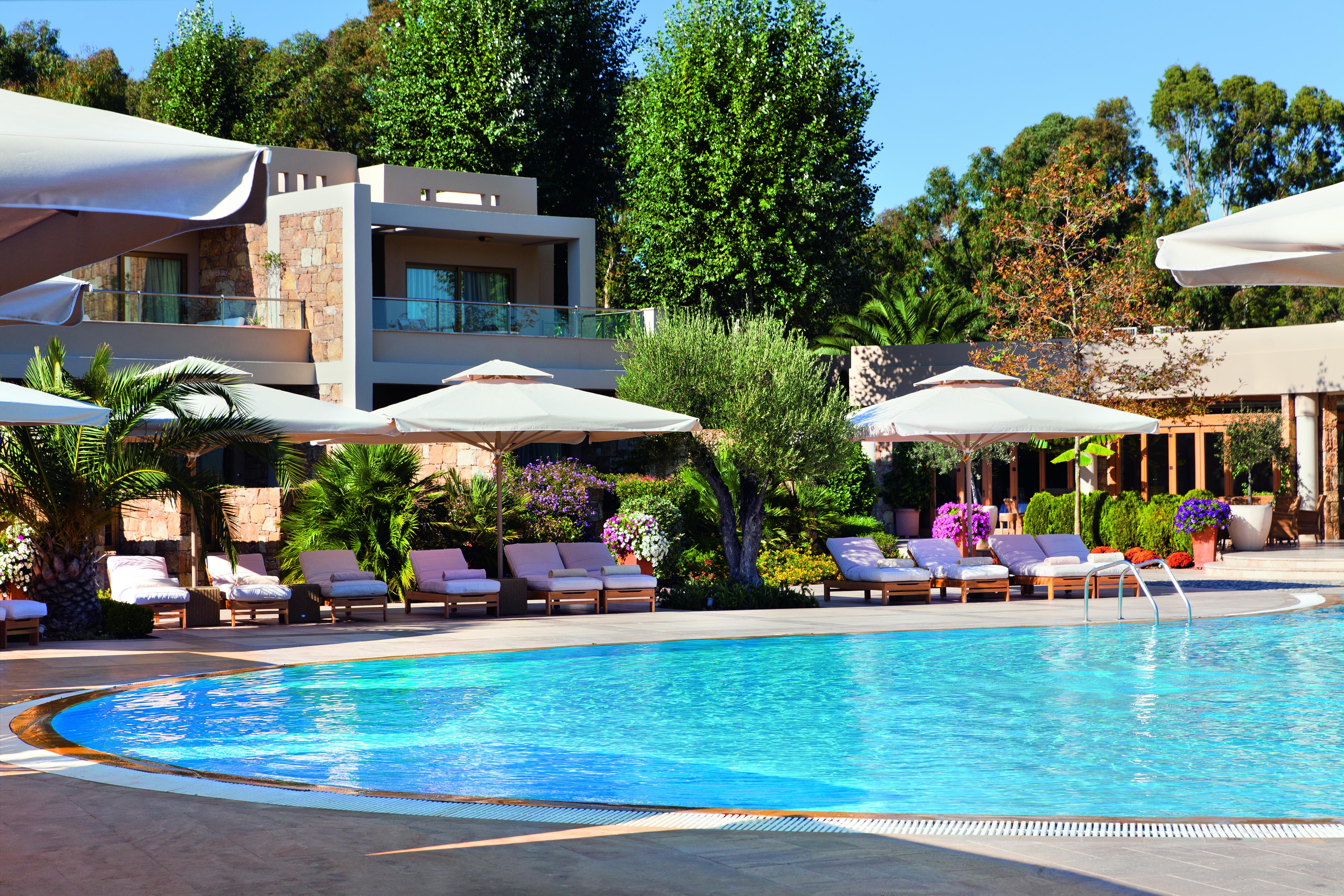 Sani Asterias Greece outdoor pool with sun loungers and umbrellas